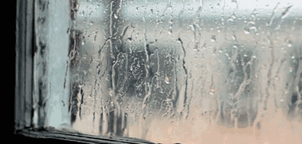 1626699802677062.gif 微信圖片_20210719205930.gif